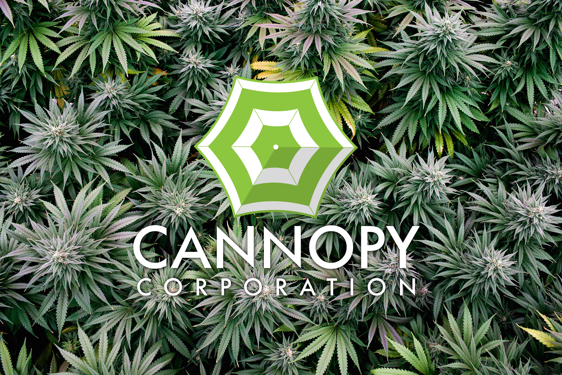 Cannopy Corp Hemp Manufacturing